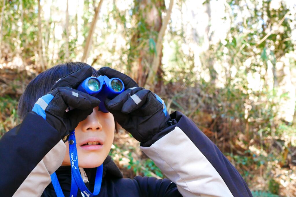 双眼鏡で森を眺める様子