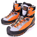 トリオレプロGTX
