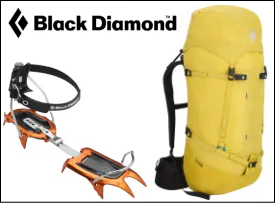 ブラックダイヤモンド買取の歴史